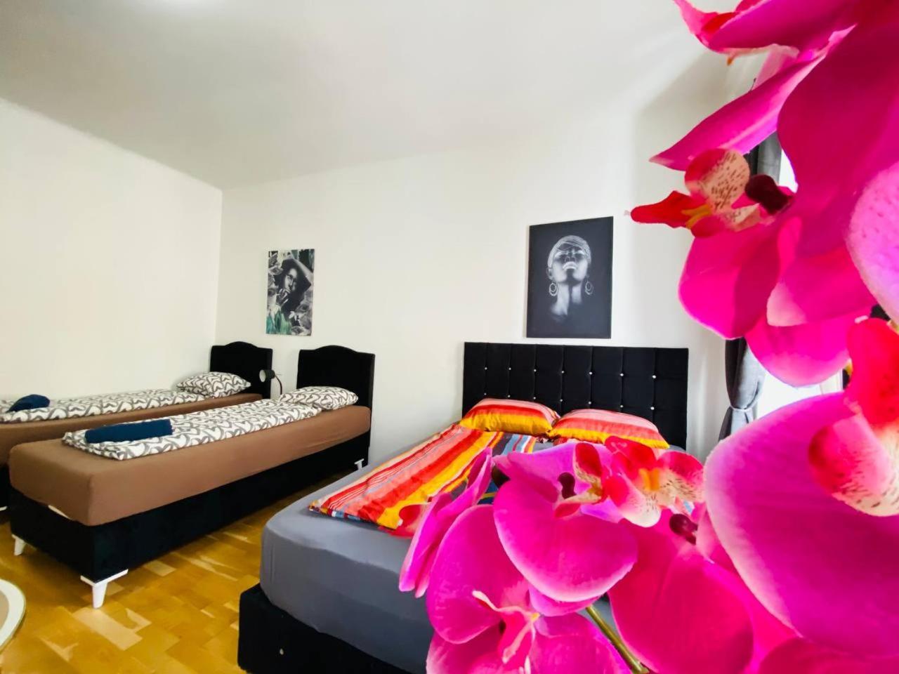 Deluxe Studio In Josefstaedter Strasse Area Apartment Vienna Luaran gambar