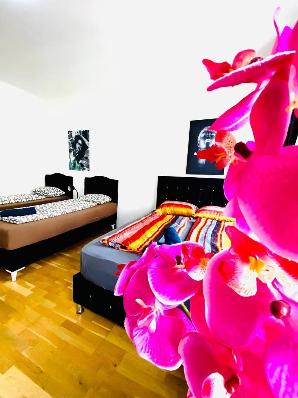 Deluxe Studio In Josefstaedter Strasse Area Apartment Vienna Luaran gambar